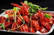 73 元做小龙虾摆摊，6 元 / 盒却遇城管？