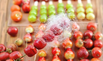 冰糖葫芦一串成本多少钱？有没有标准化计算方法？