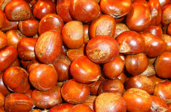 糖炒栗子怎么做不粘皮？掌握这几个细节，炒出香甜金亮、轻松剥壳的好栗子！