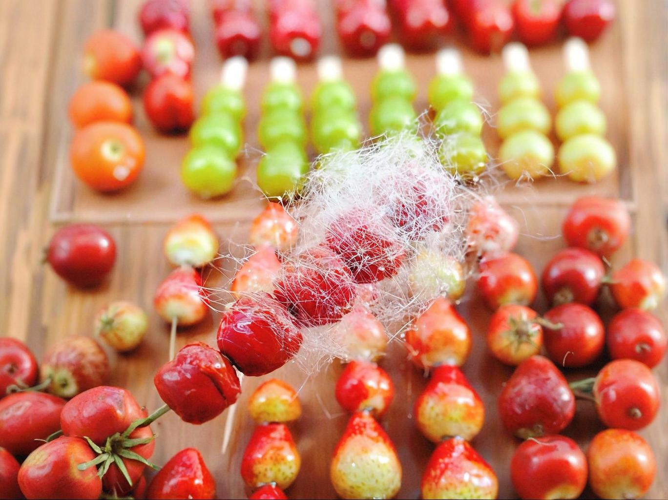 正宗糖葫芦技术培训好学吗？制作细节怎么掌握？一篇讲透！