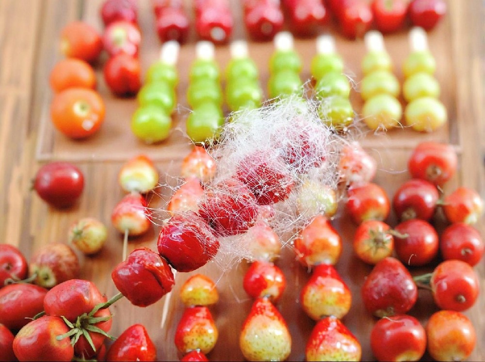 打算做冰糖葫芦生意？先别急着掏钱，聊聊那些纸面外的账